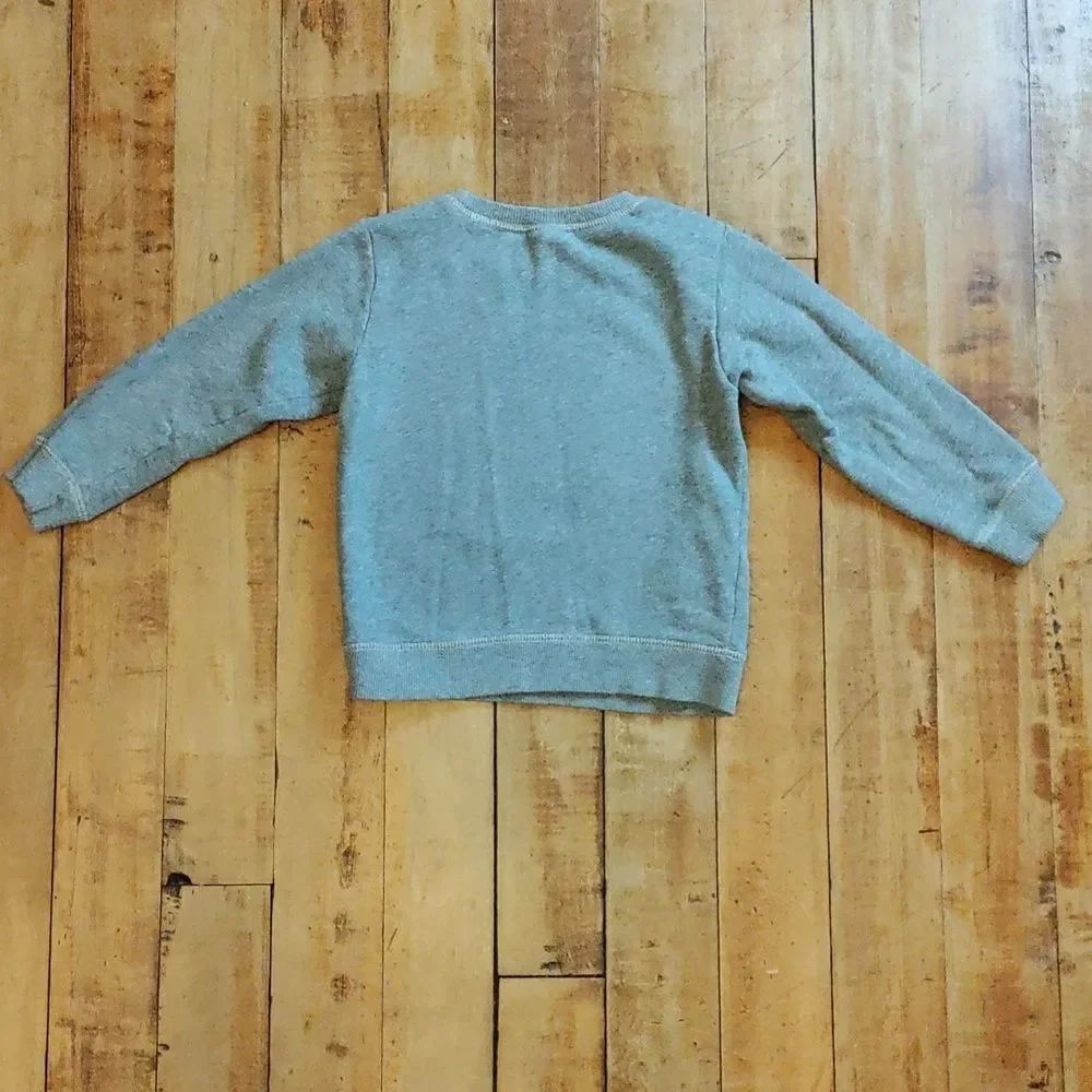 Carters Gray Sweatshirt 5T Walrus Design Fall Winter Cotton School Unisex